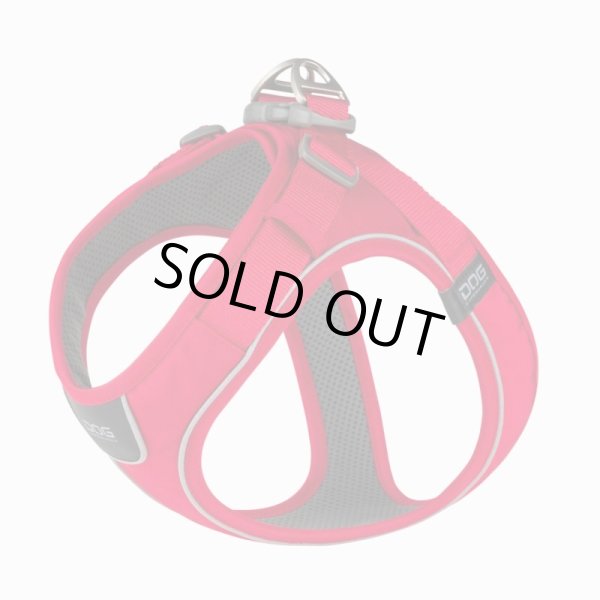 画像8: ドッグコペンハーゲン　コンフォートウォークGOハーネス (8)